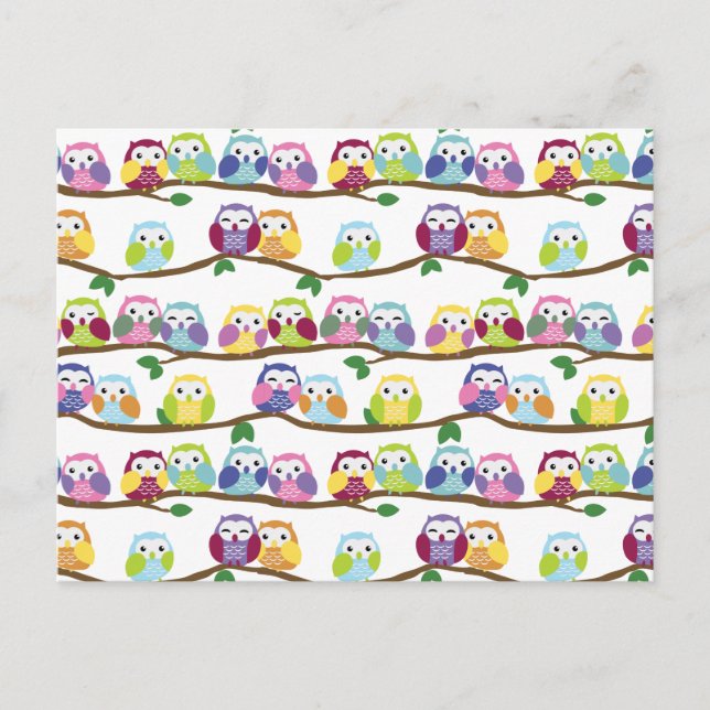 Carte Postale Hiboux colorés sur une branche (Devant)