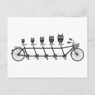 Carte Postale hiboux mignons sur un vélo tandem