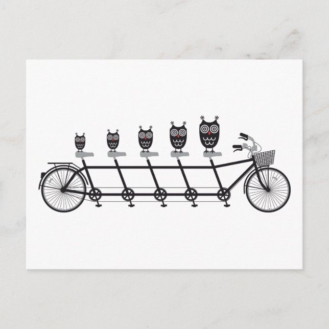 Carte Postale hiboux mignons sur un vélo tandem (Devant)