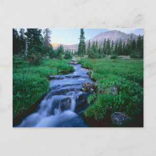 Carte Postale HIGH UINTAS WILDERNESS, UTAH. Stillwater Fork