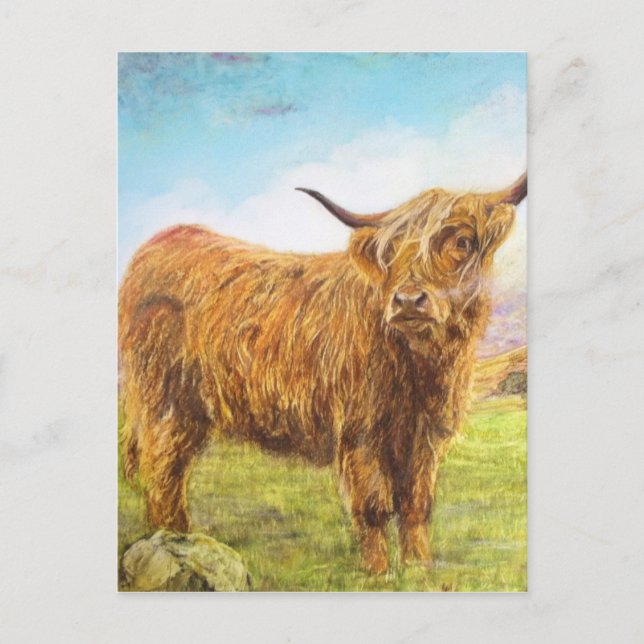 Carte Postale Highland Cow (Devant)