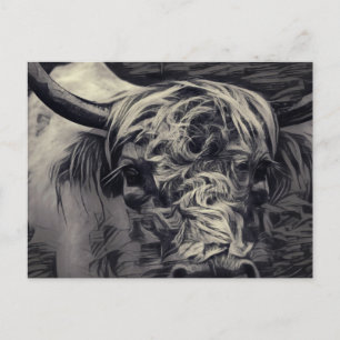 Carte Postale Highland Cow