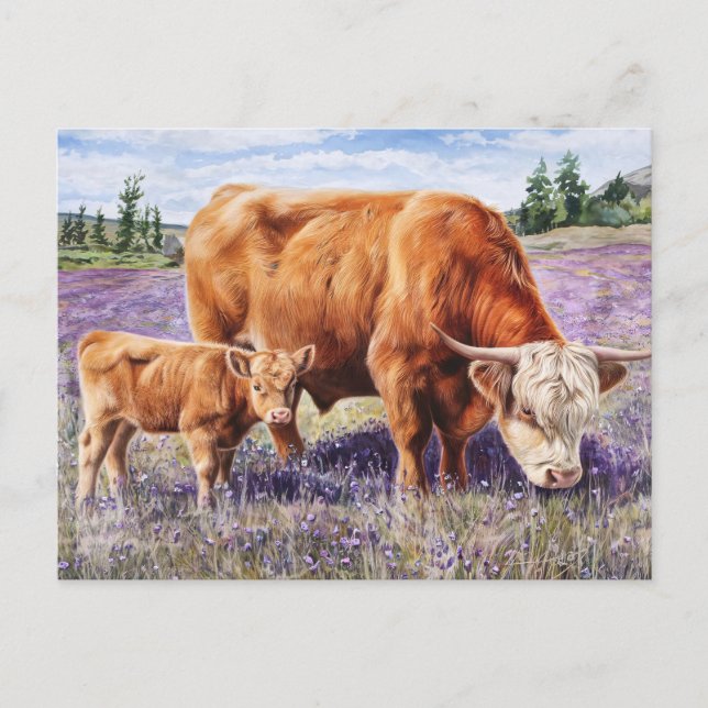 Carte Postale Highland Cow and Calf Purple Fleurs sauvages (Devant)