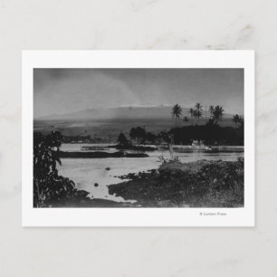 Carte Postale Hilo, Hawaii - View of the City Photograph