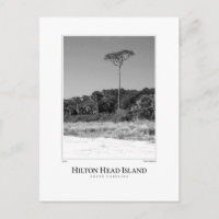 Hilton Head Island