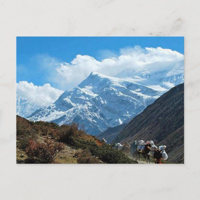 Carte Postale Himalaya Mont Everest Inde Népal Voyage été (Devant)