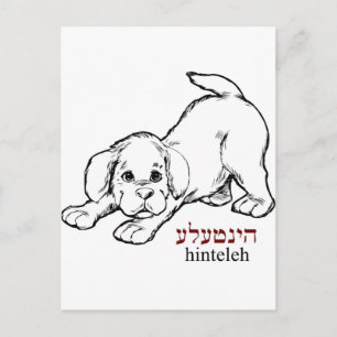 Carte Postale "Hinteleh"-chiot