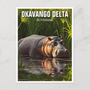 Carte Postale Hippo dans le delta de l'Okavango au Botswana