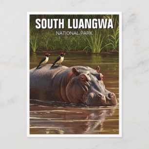 Carte Postale Hippo dans le Parc National du sud du Luangwa en Z