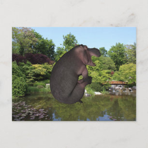 Carte Postale Hippo de canonball