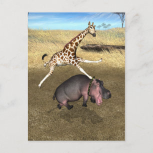 Carte Postale Hippo rodéo