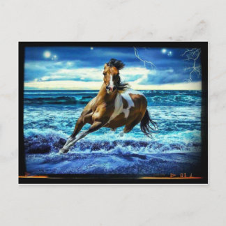 Carte Postale Hippocampe