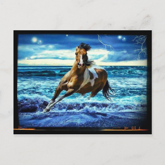 Carte Postale Hippocampe (Devant)