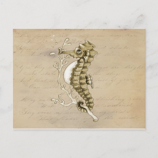 Carte Postale Hippocampe démodé sur l'arrière - plan de papier (Devant)