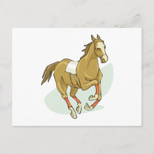 Carte Postale Hippocampe Soie Cheval Montres Gallps Trots Course