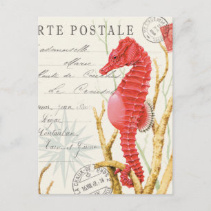 Carte Postale hippocampe vintage moderne