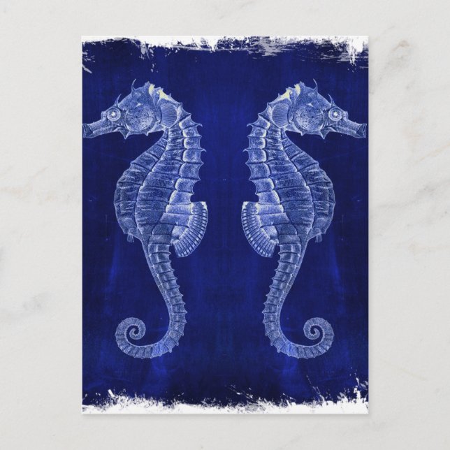 Carte Postale hippocampes côtiers de bleu d'océan d'amant de (Devant)
