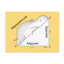 Carte postale HIPPOPOPOTENUSE par Sandra Boynton