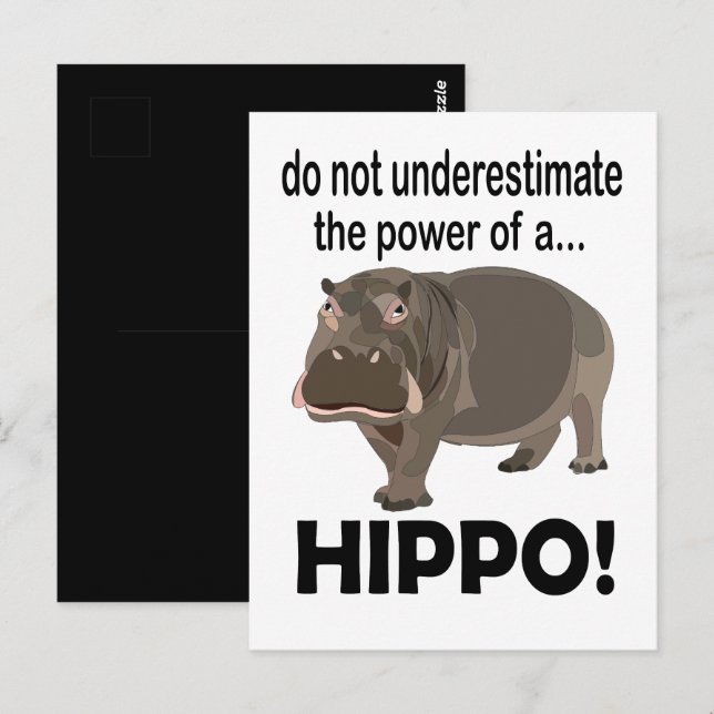 Carte Postale Hippopotamus Animal drôle Hippo (Devant / Derrière)