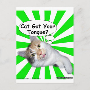 Carte Postale Hippy Kitty Cat Got Your Tongue?