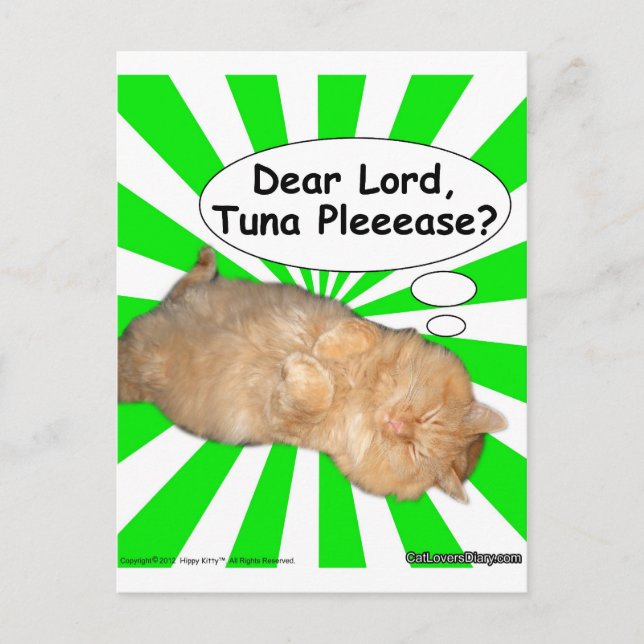 Carte Postale Hippy Kitty Cher Seigneur, Thon S'Il Vous Plaît ? (Devant)