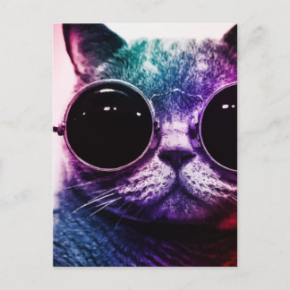 Carte Postale Hipster Cat Pop Art