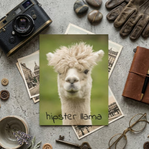 Carte Postale Hipster Lama drôle Hairdo