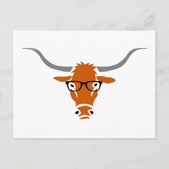 Carte Postale Hipster Longhorn (Devant)