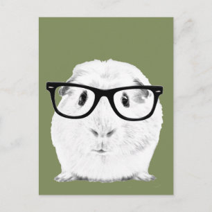 Carte Postale Hipster Pigster