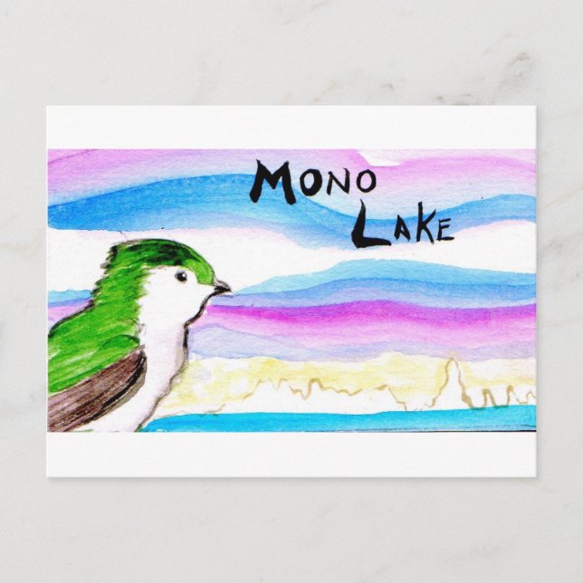 Carte Postale hirondelle violette de gree de lac mono (Devant)