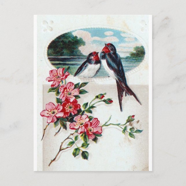 Carte Postale Hirondelles de grange vintages (Devant)