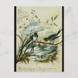 Carte Postale Hirondelles d'oël de Noël vintage