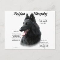 Histoire Belge Du Chien À Cheval; Tout Sur Le Chie