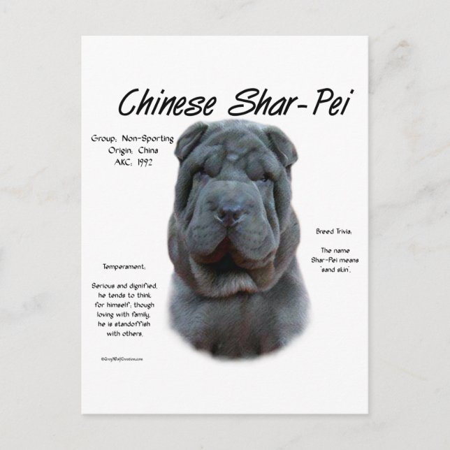 Carte Postale Histoire du Shar Pei en Chine Bleue, Sharpei, Shar (Devant)