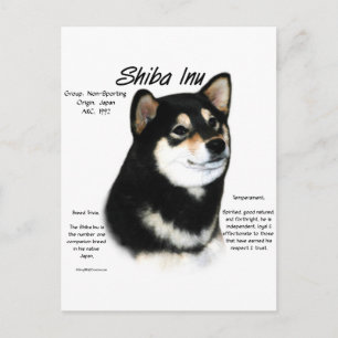 Carte Postale Histoire du Shiba Inu noir