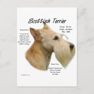 Carte Postale Histoire écossaise à Wheaten