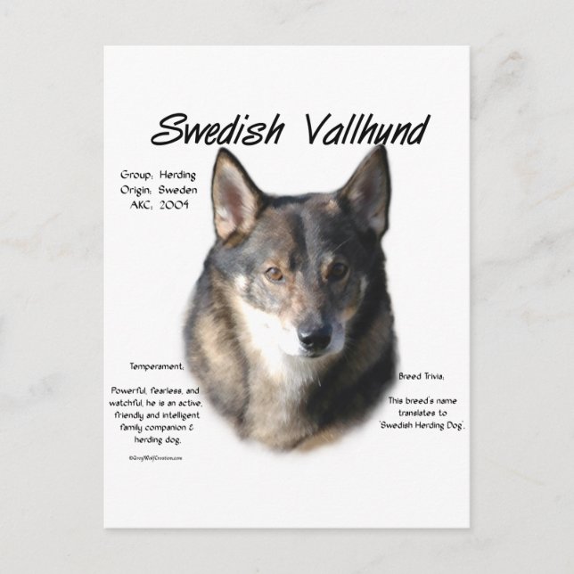 Carte Postale Histoire suédoise de Vallhund (Devant)
