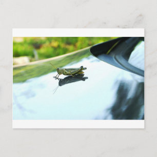 Carte Postale hitch randonnée