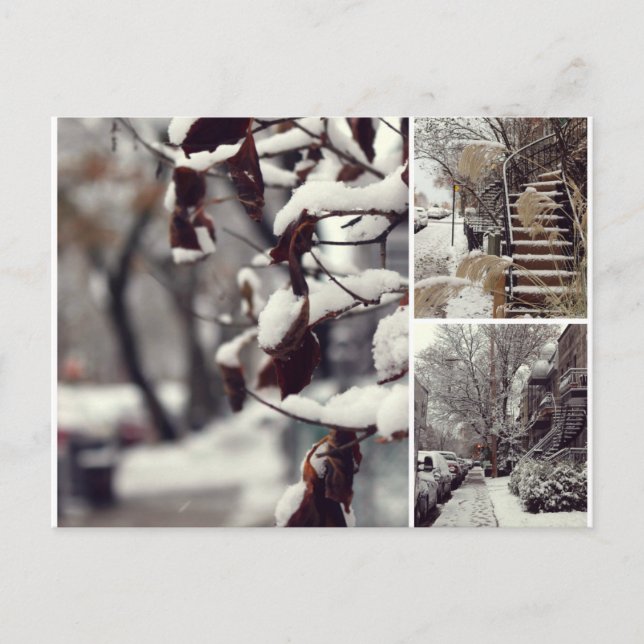 Carte Postale Hiver (Devant)