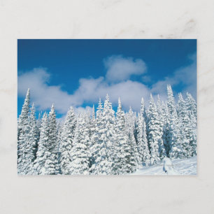Carte Postale Hiver, Bateau à vapeur, Colorado, États-Unis