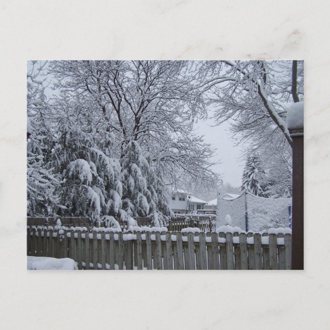 Carte Postale Hiver dans le New Jersey (Devant)