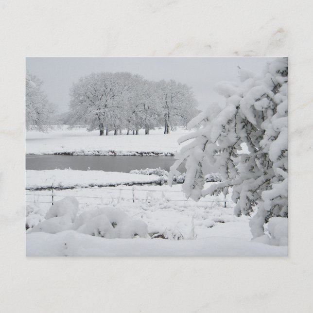 Carte Postale Hiver est du Texas, 2009 (Devant)