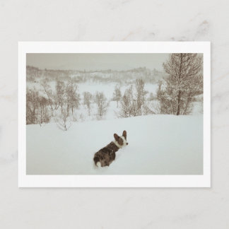 Carte postale hiver merveilleux