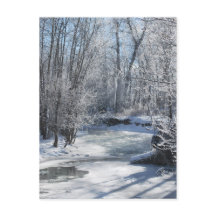 Hiver Merveilleux Ruisseau glacé Neige Arbres couv