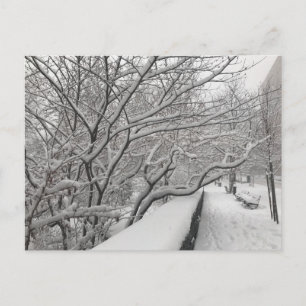 Carte Postale Hiver Snowstorm Riverside Park Trees New York NYC