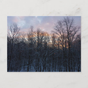 Carte Postale Hiver Sunrise I Pastel Paysage naturel
