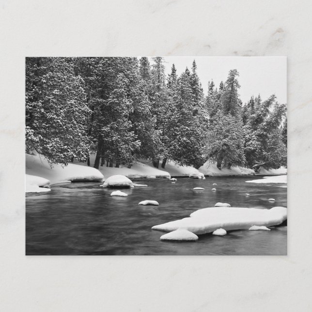 Carte Postale Hiver Thème, Noir Et Blanc Beau Frozen Ri (Devant)