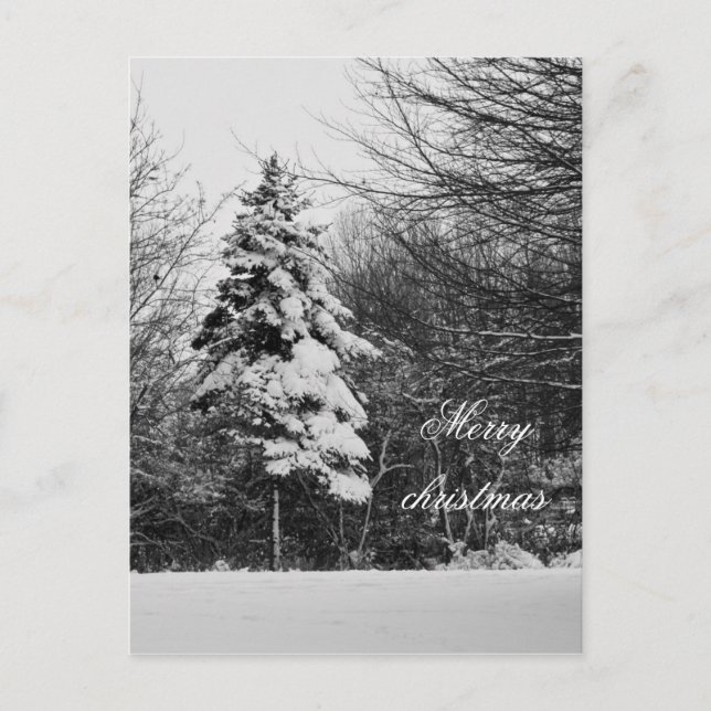 Carte postale hivernale (Devant)