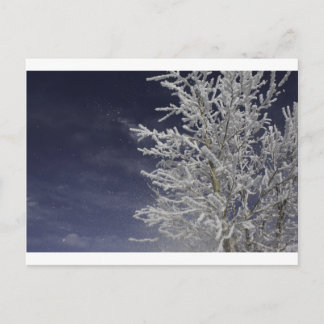Carte postale hivernale