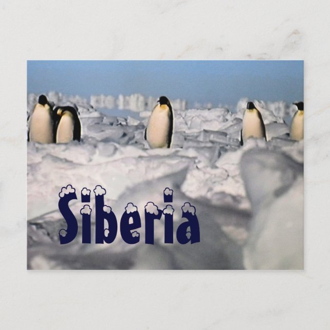 Carte postale hivernale sibérienne (Devant)
